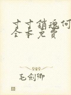 寸寸销魂何生祥全本免费