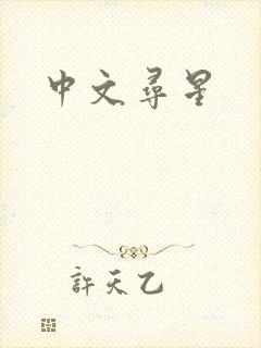中文寻星