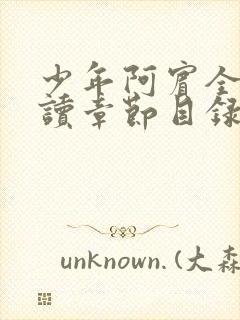 少年阿宾全文阅读章节目录