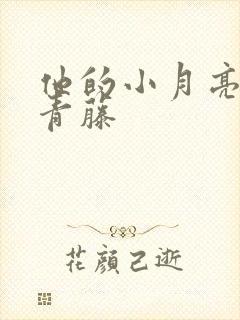 他的小月亮by青藤