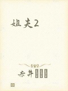 姐夫2