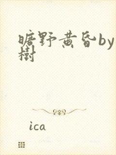 旷野黄昏by词树