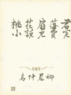 桃花扇落君不还小说免费完整版