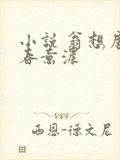 小说 翁想房中春意浓