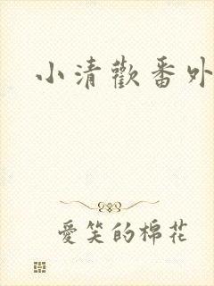 小清欢番外