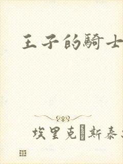 王子的骑士