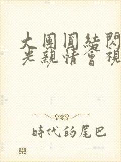 大团圆结闪闪发光亲情会视频