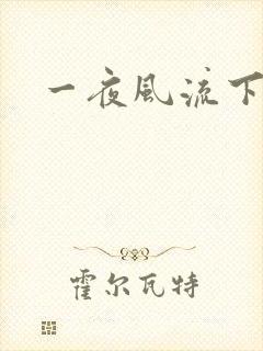 一夜风流下载