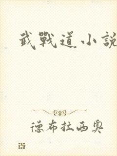武战道小说