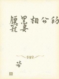 腹黑相公的庶女宠妻