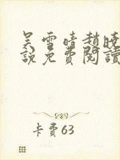 吴雪晴赵晓东小说免费阅读