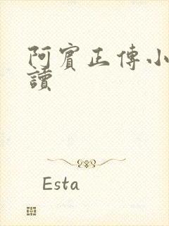 阿宾正传小说在读