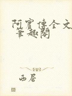 阿宾传全文阅读 笔趣阁