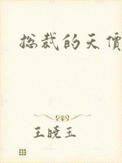 总裁的天价宠妻