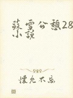 苏雪公憩28篇小说