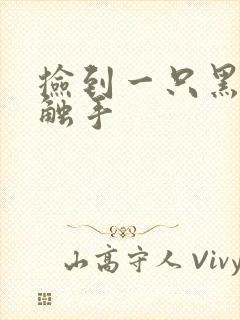 捡到一只黑心小触手