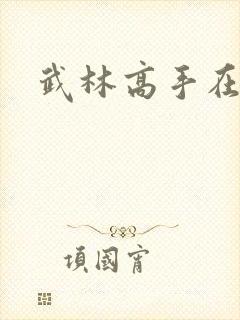 武林高手在异界