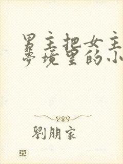 男主把女主拖进梦境里的小说