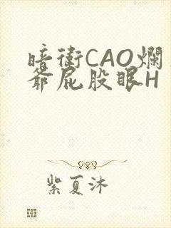 暗卫CAO烂王爷屁股眼H