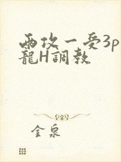 两攻一受3p双龙H调教