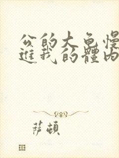 公的大龟慢慢挺进我的体内