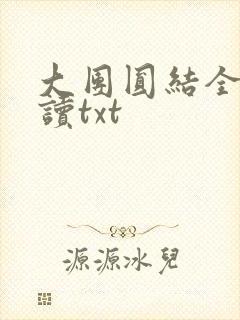 大团圆结全文阅读txt