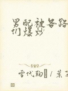 男配被各路大佬们爆炒