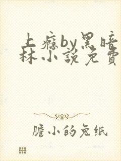 上瘾by黑暗森林小说免费