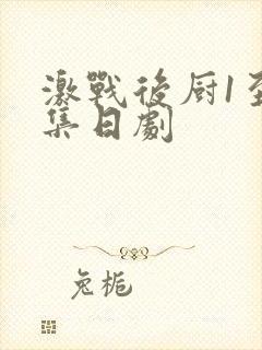 激战后厨1至5集日剧