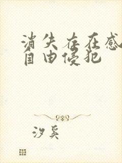 消失存在感消失自由侵犯