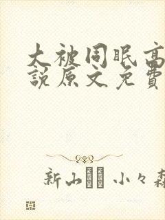 大被同眠高粱小说原文免费阅读