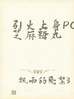 引火上身POP芝麻糖丸