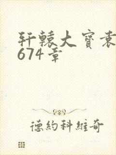 轩辕大宝袁雪妃674章