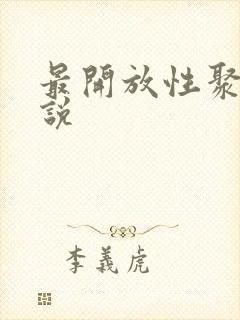 最开放性聚会小说