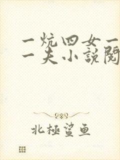 一炕四女一共侍一夫小说阅读