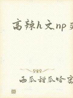 高辣h文np爽