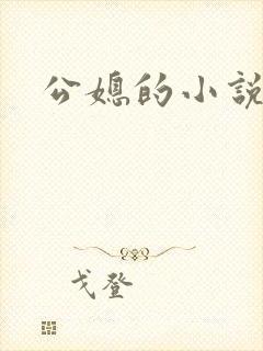 公媳的小说