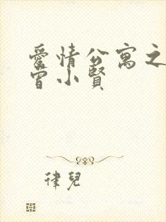 爱情公寓之极品曾小贤