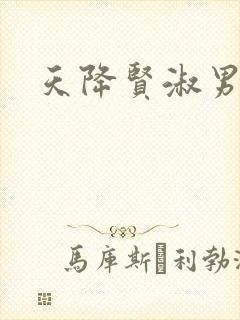 天降贤淑男小说