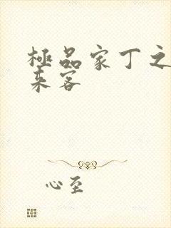 极品家丁之远方来客