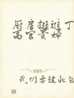 厨房挺进丁字裤高官贵妇