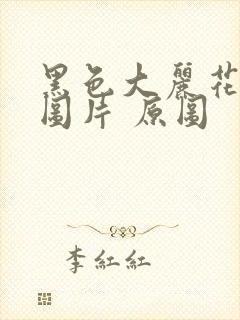 黑色大丽花真实图片 原图