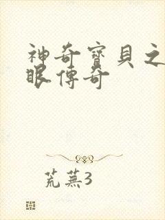 神奇宝贝之写轮眼传奇