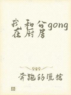 我和公gong在厨房