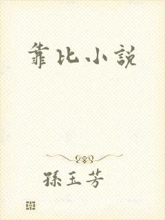 靠比小说