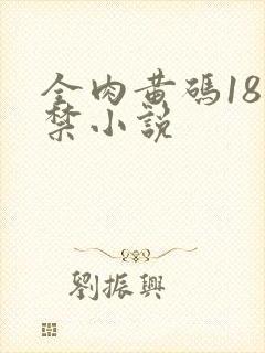 全肉黄码18无禁小说