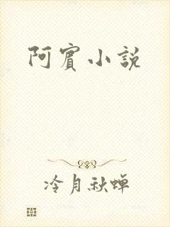 阿宾小说