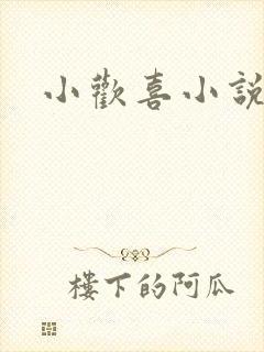 小欢喜小说