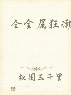 全金属狂潮小说