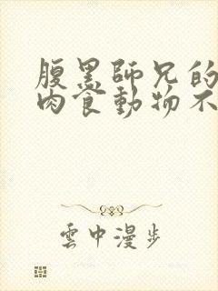 腹黑师兄的日常肉食动物不食草